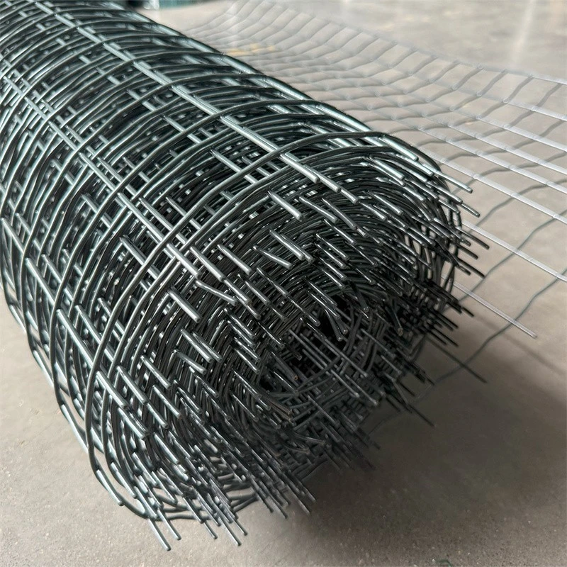 Plastic Coated Wire Mesh manufacturers